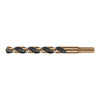 Expert BAV-29/64 Broca HSS 29/64' Trugold para metal